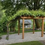 pergola dla winogron